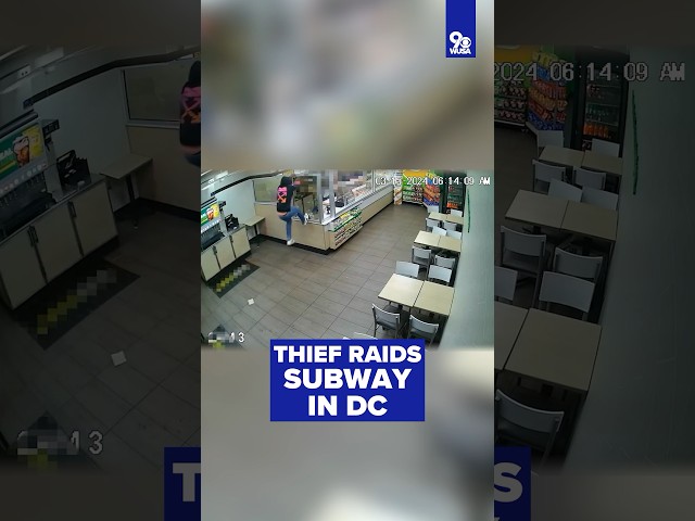 VIDEO: Thief raids Subway in DC