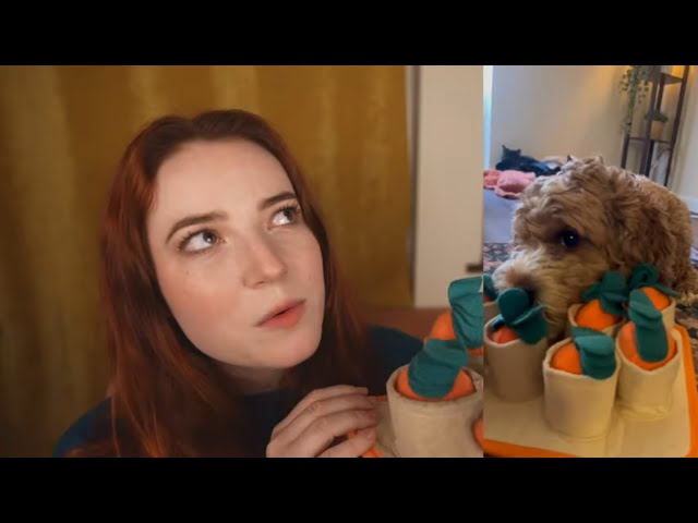 ASMR Show & Tell (Puppets, Storybook, Cute Hairclips, Rave Outfit)
