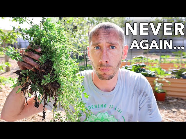 NEVER Weed Your Garden AGAIN... If You Do This One Thing
