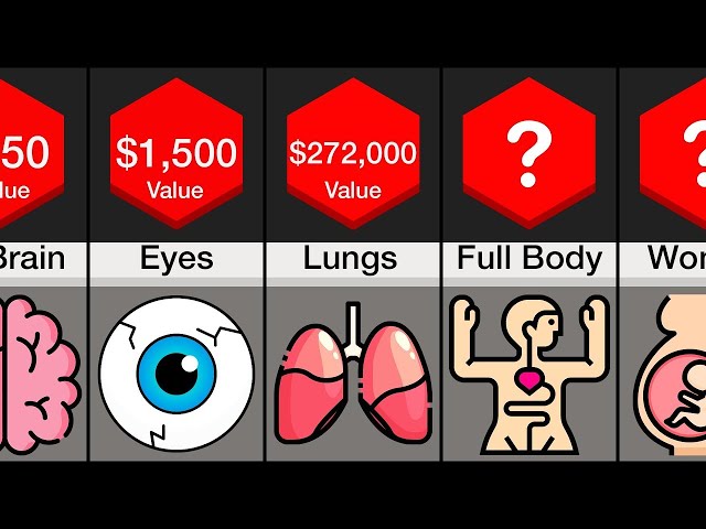 How Much Are Your Organs Worth On The Black Market?
