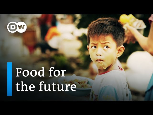 Indonesia: food for the future - Founders Valley (6/10) | DW Documentary