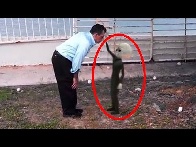 Top 10  Real Aliens You Won't Believe Actually Exist