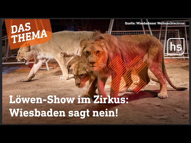 Tierischer Eklat im Wiesbadener Weihnachtscircus: Löwen-Show gestoppt wegen Tierschutzverstößen!