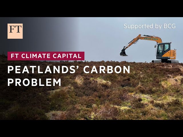 Carbon problem for damaged peatlands | FT Climate Capital