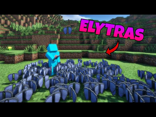Why I Collect 13 ELYTRAS In My MINECRAFT Survival WORLD