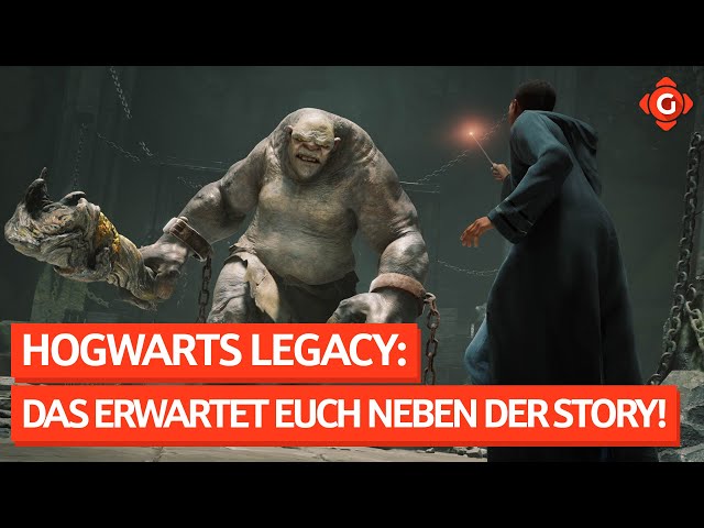Hogwarts Legacy das erwartet euch neben der Story 🧙 Neues Völkerball Partyspiel! 🤕| GW-News 27.01.23