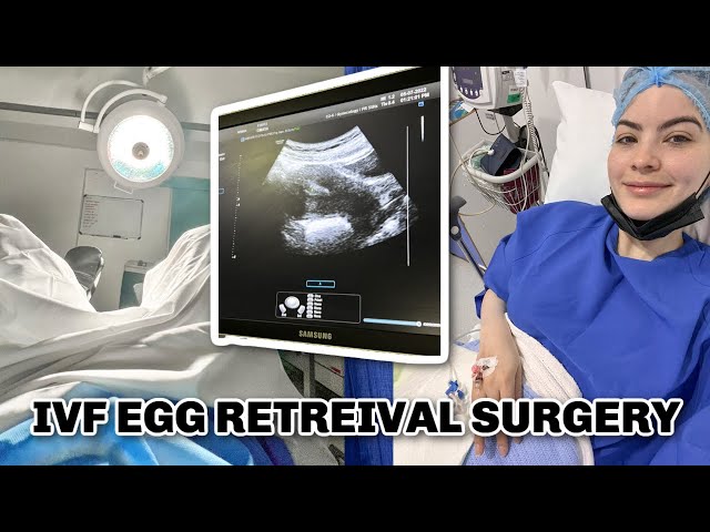 IVF PART. II: Egg Retrieval Surgery | Omaya Zein