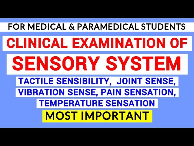 SENSORY SYSTEM EXAMINATION | CLINICAL LAB | PHYSIOLOGY