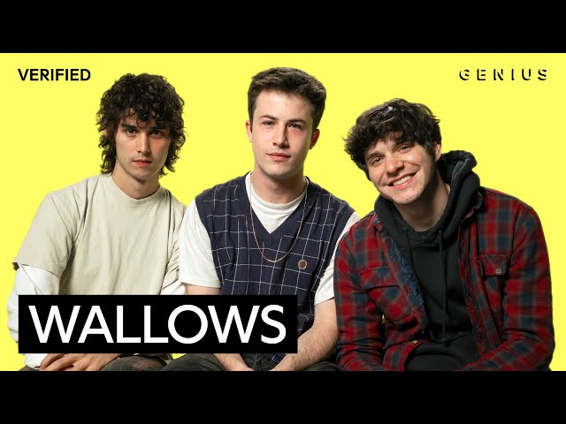 Wallows "I Don't Want To Talk" Official Lyrics & Meaning | Verified