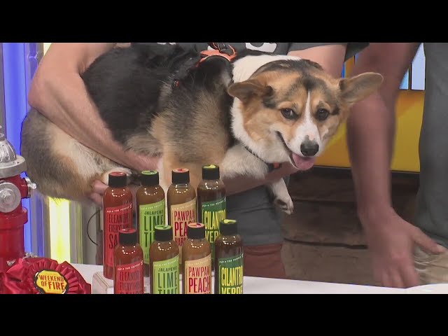 Indy Now, September 21st: Pup & The Pepper's new award-winning hot sauce!
