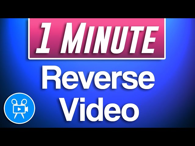 How to Reverse Clip | Movavi Video Editor 2020
