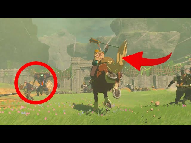 Did you catch this in Zelda Tears of the Kingdom?