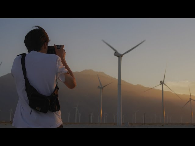 Exploring Southern California with Willem Verbeeck - Field Trips Episode 3