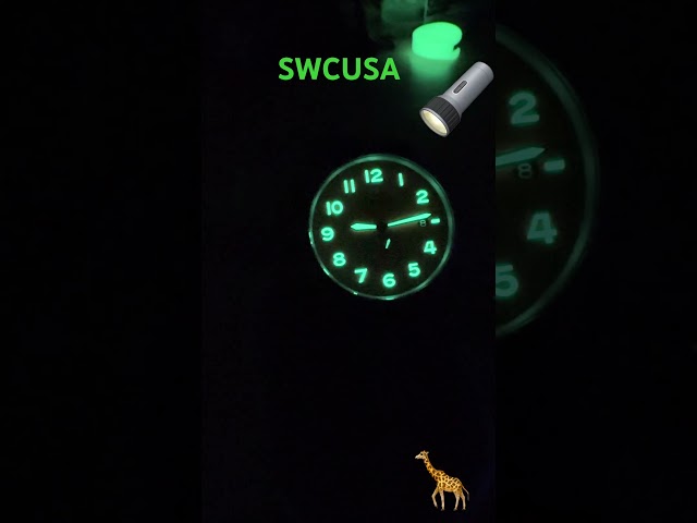 SWCUSA Ark Orange - Lume (can’t beat this watch for price!)
