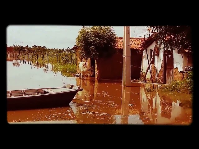 CURTA Enchente do Rio Coreaú em Granja, Ceará: Uma Perspectiva Impactante