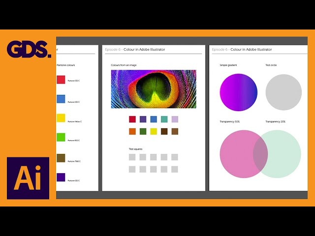 Using Colour | Swatches | Pantone's | Gradients & more Ep6/19 [Adobe Illustrator for Beginners]