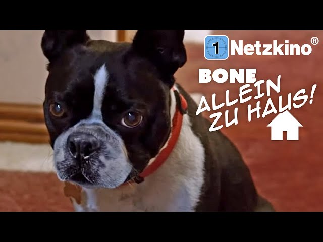 Bone Allein Zu Haus (Weihnachtsfilm mit David DeLuise, kompletter Film auf Deutsch, ganzer Film)