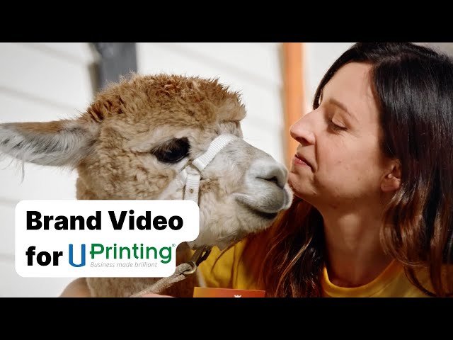 B2B Brand Video Example | UPrinting | Vidico