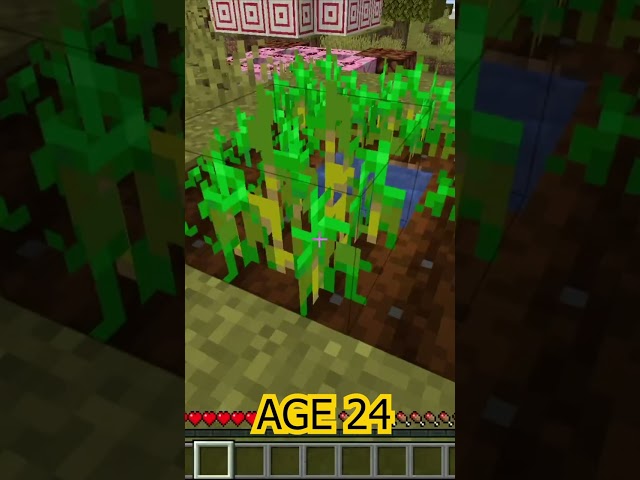 Minecraft Farming At Different Ages  #shorts