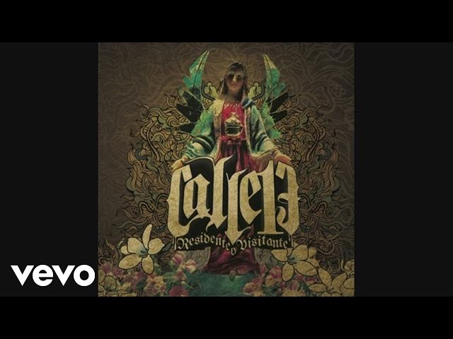 Calle 13 - El Avión Se Cae (Cover Audio Video)
