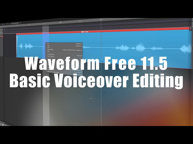 Waveform 11.5 Free - Basic Voiceover Editing