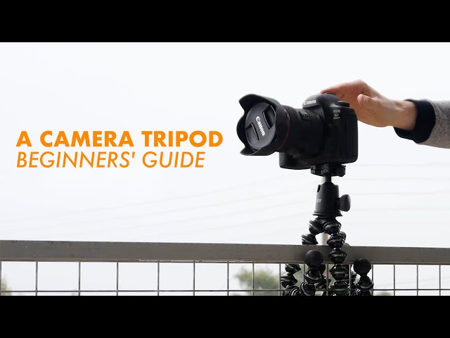 How to Choose a Camera Tripod (Beginners' Guide)