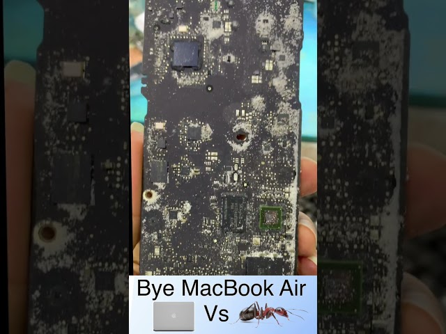 MacBook Air 💻  Vs Ant 🐜 #shorts #macbookair #condolences