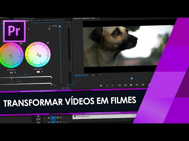 Tutorial Adobe Premiere: Como Transformar QUALQUER Vídeo em FILME (Film Look)
