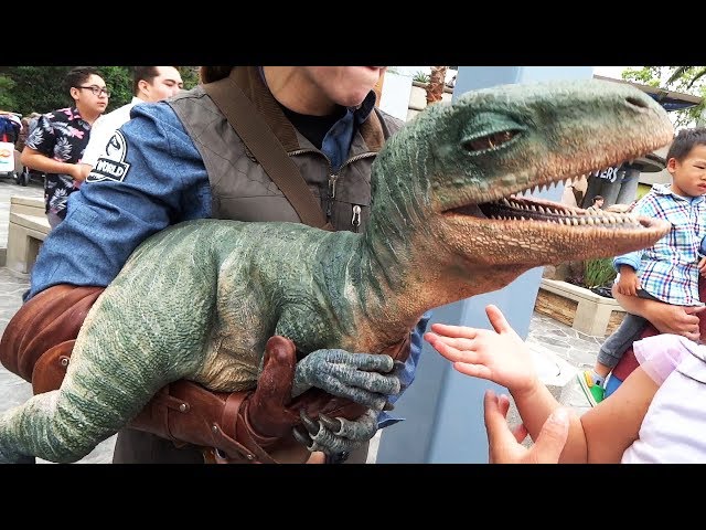 Raptor Encounter with Blue and Baby Tango in Jurassic World at Universal Studios Hollywood