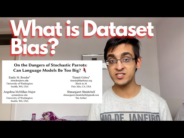 What constitutes dataset bias? (and what can we do about it?)