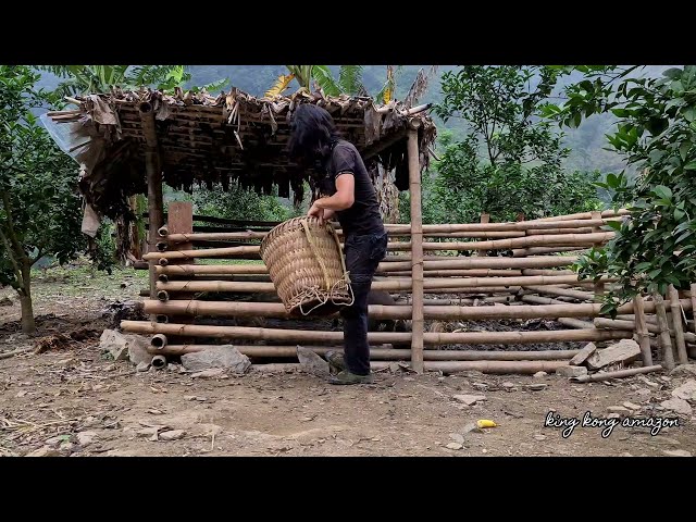 Zon works hard to take care of the livestock, Survival Instinct, Wilderness Alone , Ep 215