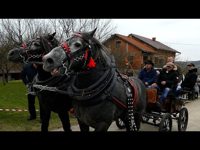 Sajam konja  u  Cetingradu, Josipova 2024 g. ( Horse fair )