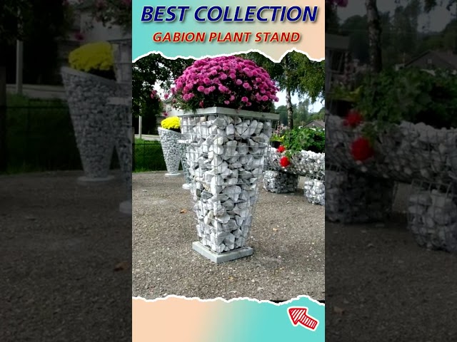 Best Collection Gabion Plant Stand Ideas 2023