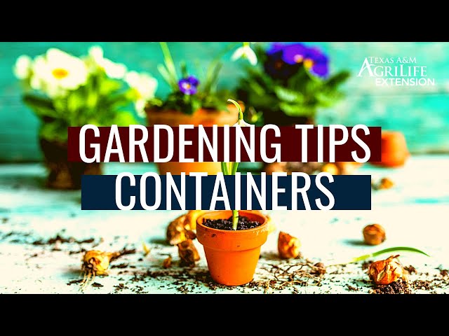 Gardening Tips: Containers