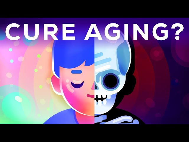 How to Cure Aging – During Your Lifetime?