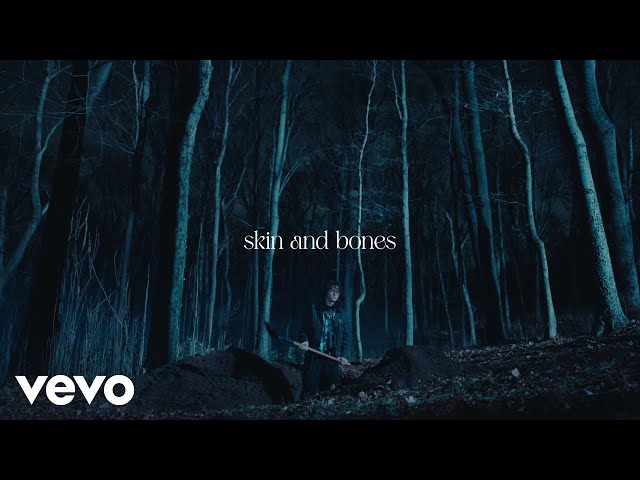 David Kushner - Skin and Bones (Official Lyric Video)