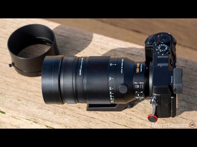 Panasonic 100-400mm review for wildlife photography
