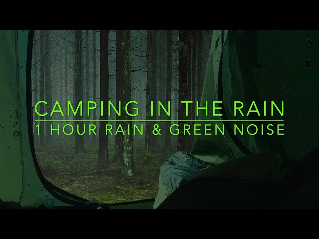 Heavy rain & Green Noise while camping in a Tent. Camping in the rain. 1 hour rain sound