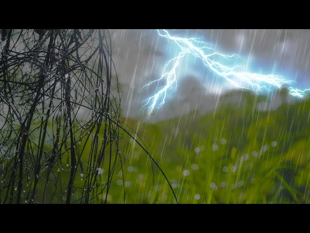 A relaxing storm for your sleeping pleasure ⛈️ feat. Rain Sounds & Rumbling Thunder