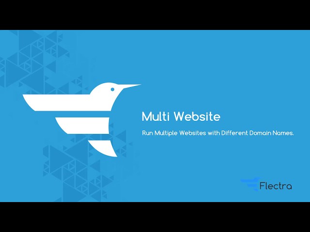 Flectra Multi Website Feature Demo
