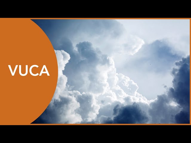 What is VUCA?