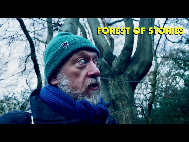 London’s Arcadia in the East - Winter walk through Epping Forest (4K)