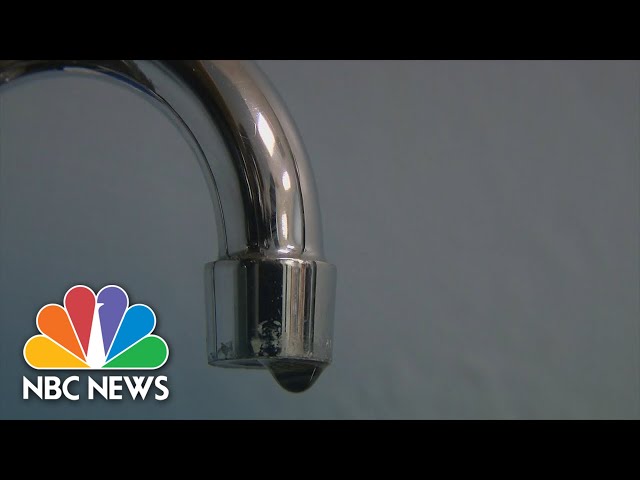Florida man contracts brain-eating amoeba through tap water