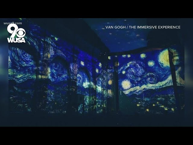 Immersive Van Gogh exhibit coming to DC | It's A DC Thing