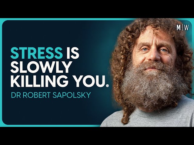 The Shocking New Science Of How To Manage Your Stress - Dr Robert Sapolsky
