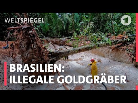 Unter Goldgräbern – Drei Tage im illegalen Camp