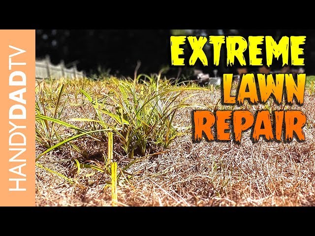 Extreme Lawn Repair