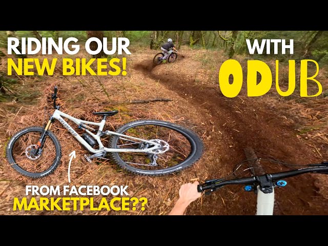 The "cheapest carbon MTB online" first ride with Olly Wilkins!