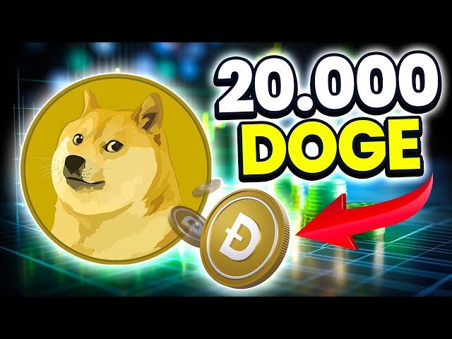Why 20,000 DOGE Tokens Can Transform Your Financial Future