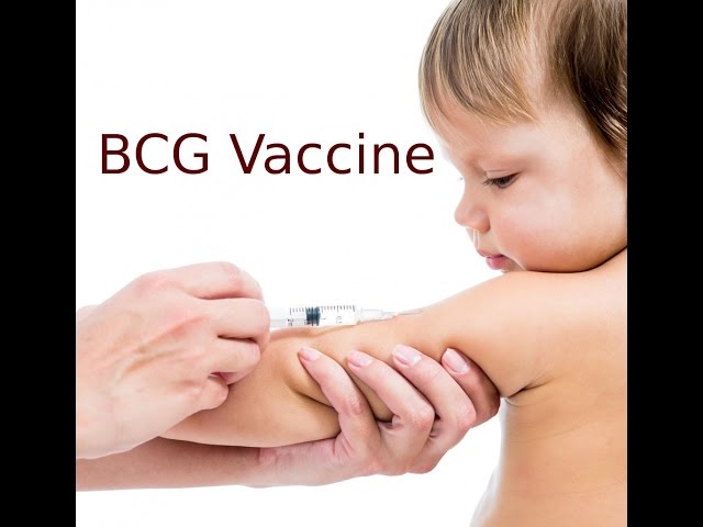bcg vaccination